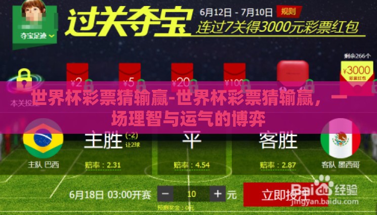世界杯彩票猜输赢-世界杯彩票猜输赢，一场理智与运气的博弈