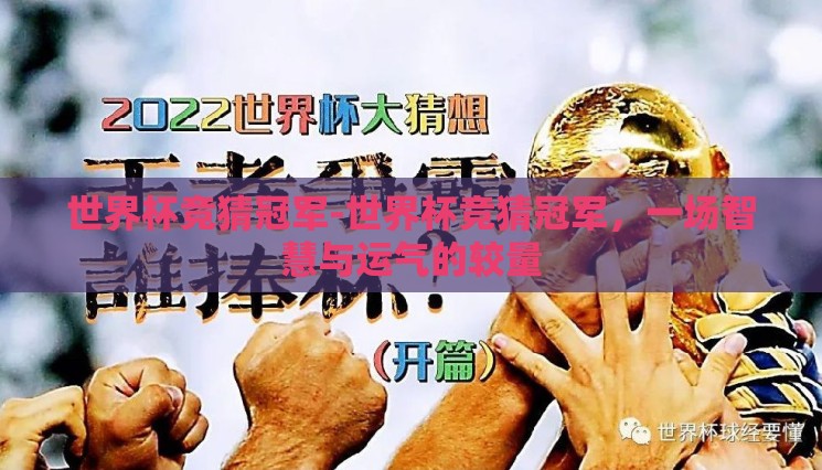 世界杯竞猜冠军-世界杯竞猜冠军，一场智慧与运气的较量