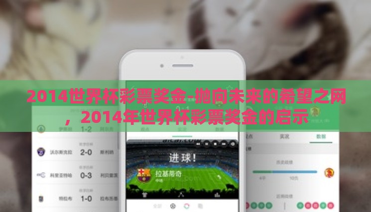 2014世界杯彩票奖金-抛向未来的希望之网，2014年世界杯彩票奖金的启示