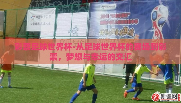 彩票足球世界杯-从足球世界杯的赛场到彩票，梦想与幸运的交汇