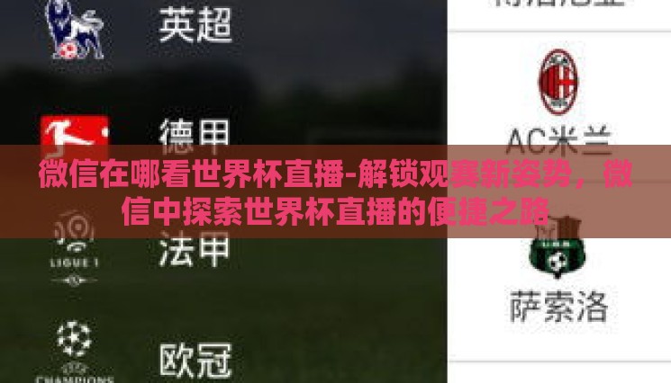 微信在哪看世界杯直播-解锁观赛新姿势，微信中探索世界杯直播的便捷之路