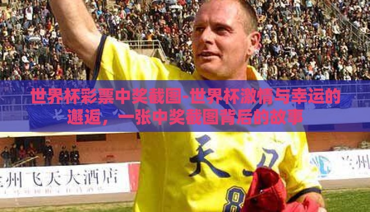 世界杯彩票中奖截图-世界杯激情与幸运的邂逅，一张中奖截图背后的故事