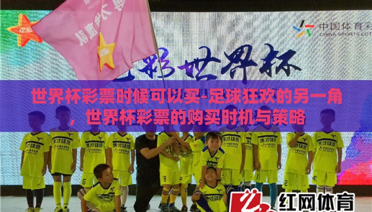 世界杯彩票时候可以买-足球狂欢的另一角,世界杯彩票的购买时机与策略 世界杯彩票时候可以买-足球狂欢的另一角,世界杯彩票的购买时机与策略